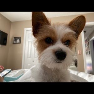 Meet your Posher, Casey